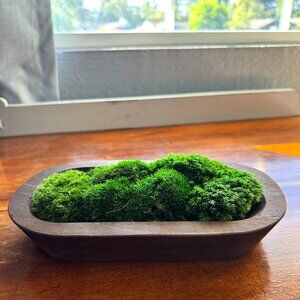 Preserved Moss Centerpiece - Long dark wood bowl - Perfect decor, or as a gift!